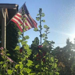 Meet your Posher, Jodi